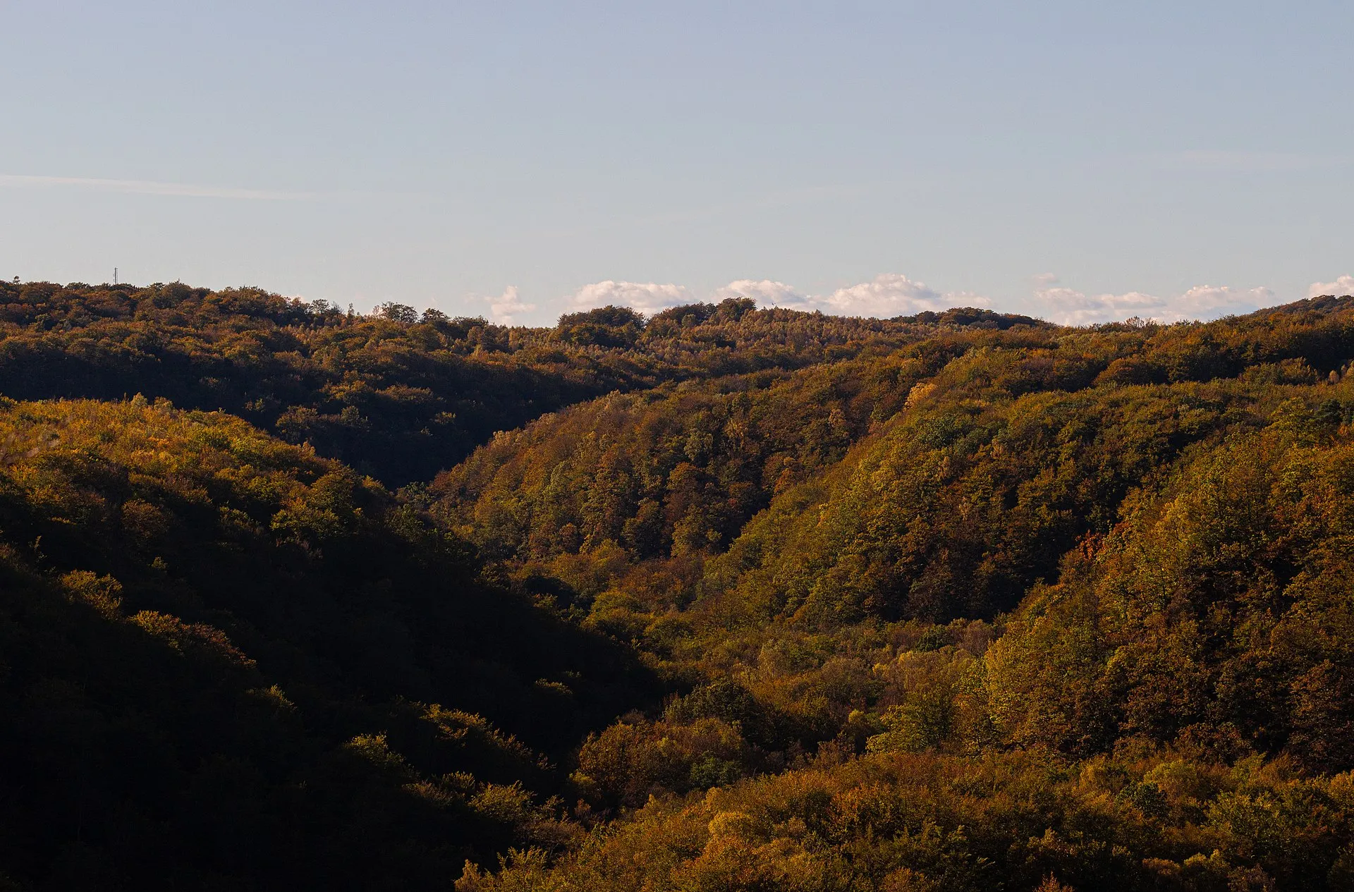 Söderåsens nationalpark i höstfärger – Skåne, nära Emmpatus Fredriksdals loppis